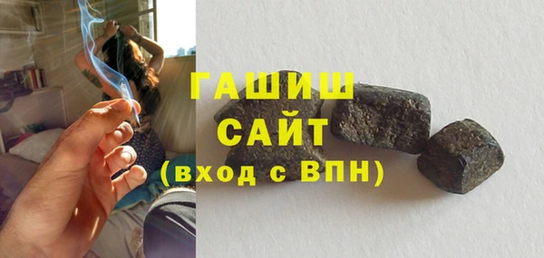 МДПВ Пересвет
