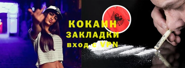прущие грибы Осинники