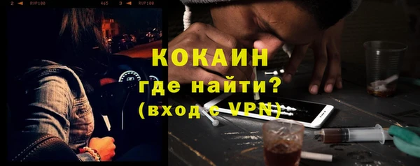 МДПВ Пересвет
