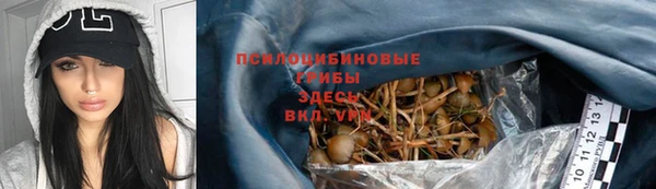 скорость Пестово