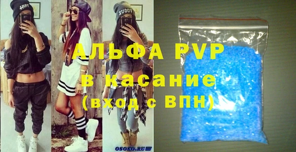прущие грибы Осинники