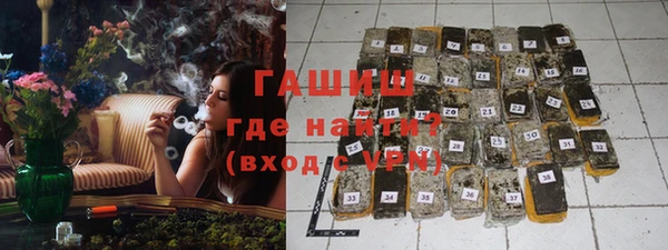 МДПВ Пересвет