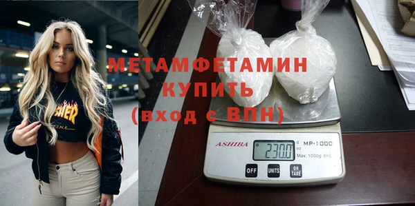 прущие грибы Осинники