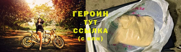 прущие грибы Осинники