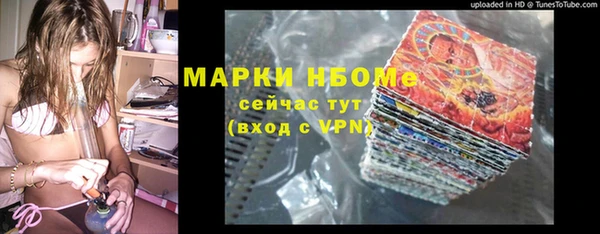 прущие грибы Осинники