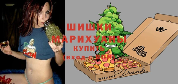 МДПВ Пересвет